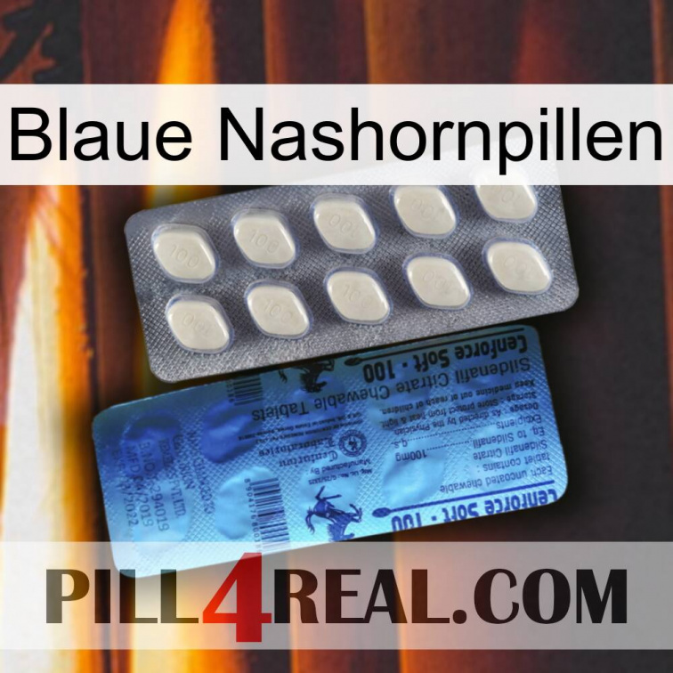 Blue Rhino Pills 34